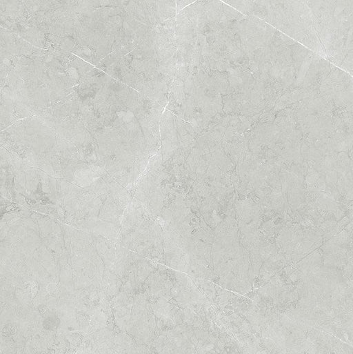 ALT013SJ Altamura Silver Polished Large Format 48 x 48 Porcelain Tile