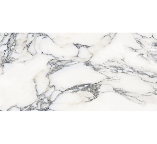 Marmi Arabesque Nero Polished Large Format Porcelain Tile 24" x 48"