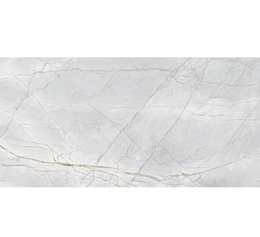 Marmi Invisible Grey Polished Large Format Porcelain Tile 24" x 48"