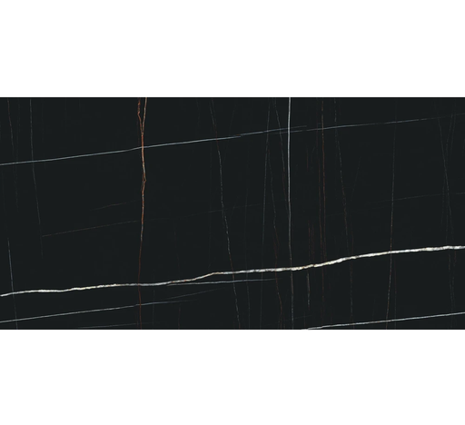 Marmi Sahara Noir Polished Large Format Porcelain Tile 24" x 48"